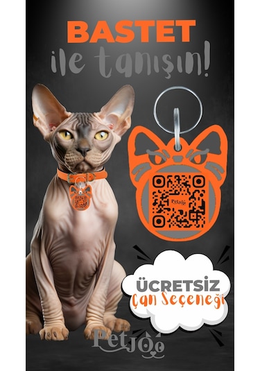 Petjoo 1.Bastet Gri-Turuncu Qr'lı Kedi Künyesi