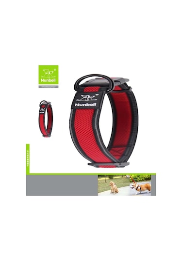 Nunbell Köpek Boyun Tasması Air-mesh 2cm Çok Renkli