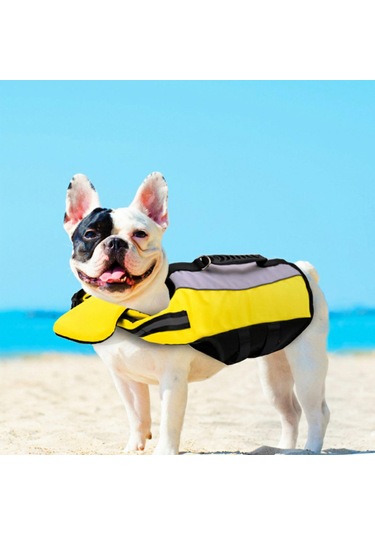 Homyl Yüzme Havuzu Köpek Için Pet Can Yeleği Koruyucu