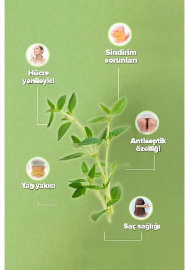 Ekstraktlı Kekik Suyu 500 Ml