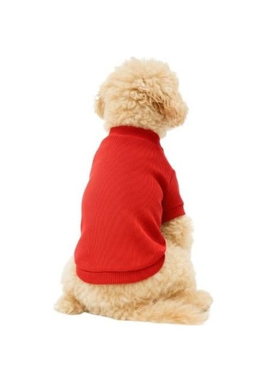 Gedyco Nar Çiçeği Küçük Irk Köpek Likralı Triko