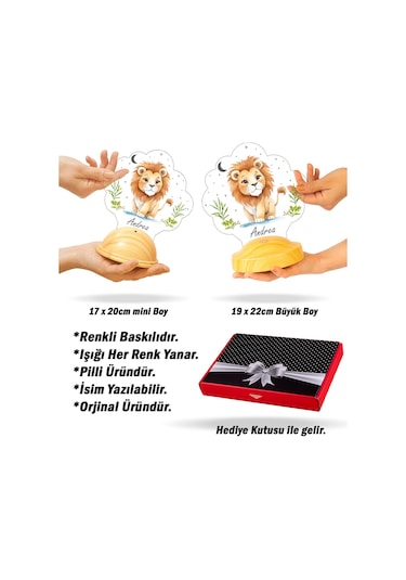 Sevimli Aslan Tasarımlı İsimli Çocuk Odası Gece Lambası, Aslan Bebek Doğum Günü Hediyesi Led Lamba