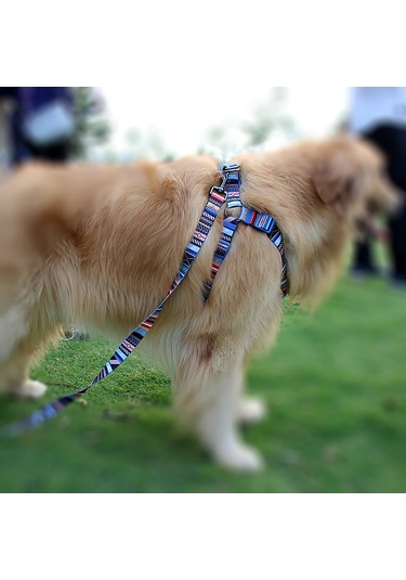 Geeroyoo Ayarlanabilir Poliester Köpek Tasması Ve Koşum Takımı - Siyah Desenli, Orta Boy Siyah