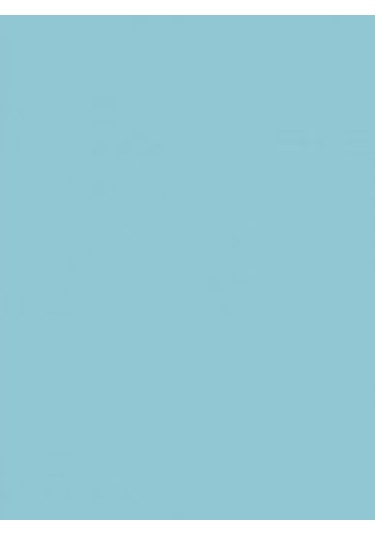 Wagner Boya Wabıesılan Silikonlu Dış Cephe Boya 2,5 Lt