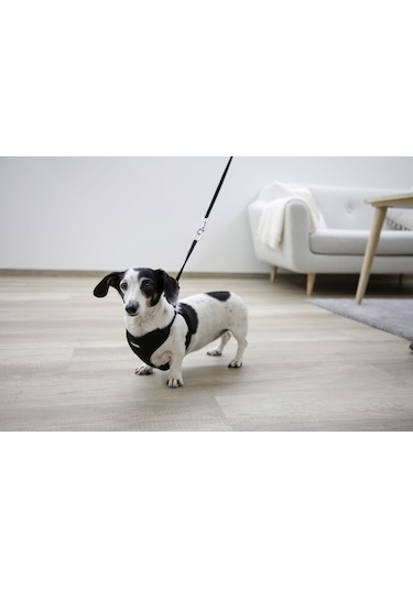 Kerbl Yavru Köpek Göğüs Tasması Siyah 30 - 50 CM Siyah