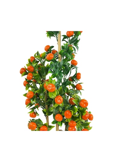 Yapay Ağaç Mandalina Ağacı 80Cm 3Boy Bambuda Akrilik Siyah Saksıl