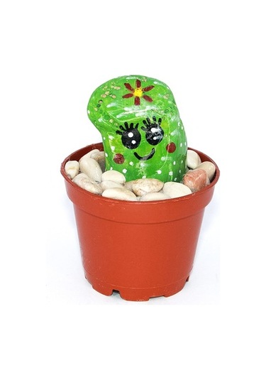 Kaktüs Biblo Dekoratif