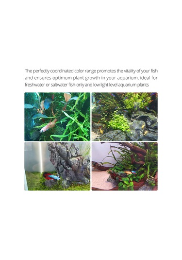 Symbee Akvaryum Işığı Su Geçirmez Ayarı 10 Seviye Işık Regülasyonu 3 Zamanlama Seçeneği Tam Spektrum 60 Led Topu 45-60cm 11w Euro Standartı Siyah