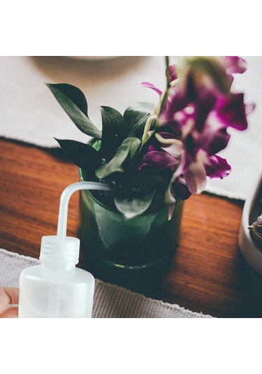 Qingmipy 250ml Şeffaf Ölçülü Uçlu Sulama Kuşağı - İç Mekan Bitkileri İçin Hassas Su Verme, Ev/ofis Kullanıma Uygun 3'lü Set