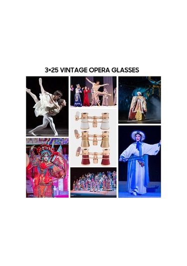 Trendooze Yetişkinler Vintage Ve Tiyatro Temizleme Taşıma Saplı Opera Mini Kompakt İle İçin Hafif Gözlükleri Dürbünü Dürbün Çocuklar Çantası Bezi 3 25 Mc