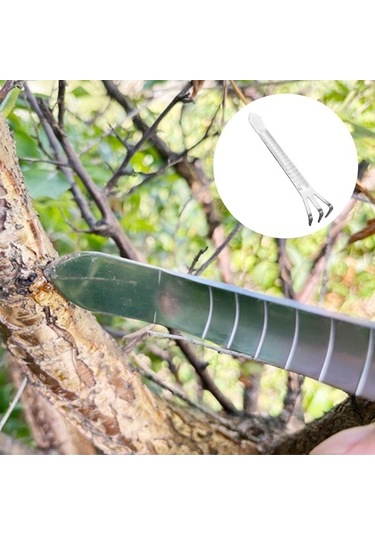 Pazly Yetiştirme Tırmık Suntek Stil-b Çatal Uçlu Bonsai 3 Kz