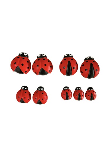 Suntek 9 Parça Uğur Böceği Heykeli Mikro Manzara Masaüstü