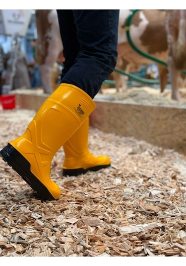 Techno Boots Poliüretan Soğuğa Dayanıklı Kısa Çelik Burunlu Sarı Çizme Sarı