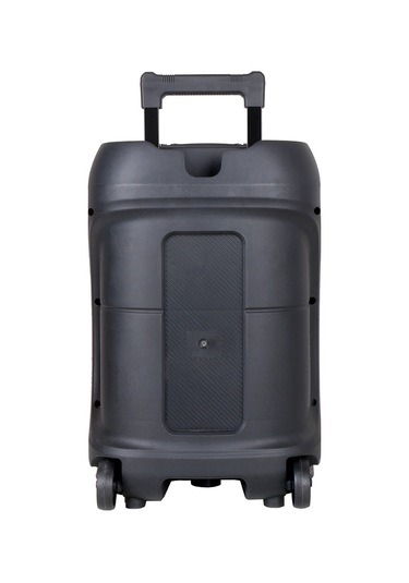 Makstechnology Gd-1203 Dijital Led Göstergeli Fm Radyolu Mikrofonlu Rgb Tws 12 İnç Stereo B Siyah