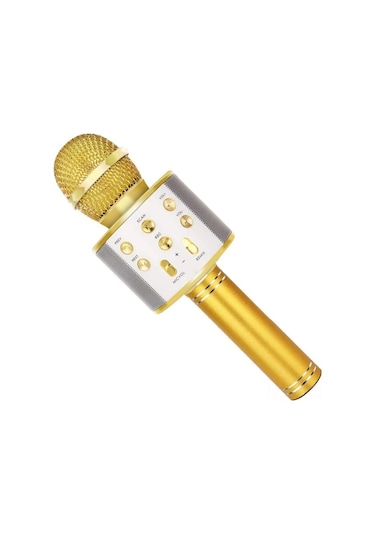 Hfambition Altın-suny Kablosuz Bluetooth Mikrofon, Hoparlör Ve Kayıt Özelliği İle En İyi Çocuklar İçin Şarkı Oyuncağı Hediyesi Gül Altını