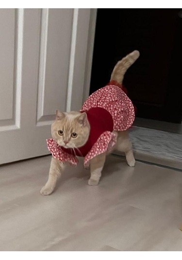 Gobo Çiçek Desenli Papyonlu Kedi Köpek Kıyafeti Elbisesi