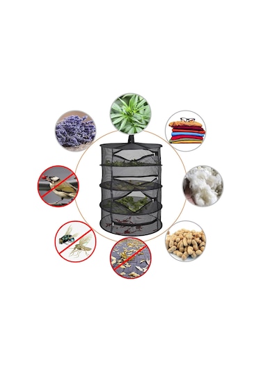 Lyon Sınıf 4 Bitki Kurutmaağısiye Siyah