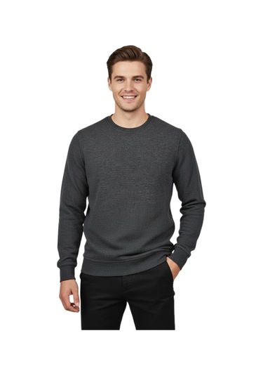 Raymons Erkek Sıfır Yaka Petek Doku Regular Fit Sweatshirt Bgl-st04950 Antrasit