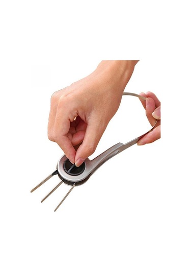 Suntek Mango Kesici Soyucu Paslanmaz Çelik Armut Gezisi Ejder Gümüş Diğer