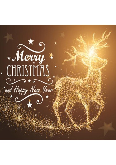 Qingmipy Noel Ateşi Oluşturucu Pvc Cam Kapı Duvar Sticker - Yeniden Kullanılabilir, Suya Dayanıklı Noel Geyiği Arabası Deseni Diğer