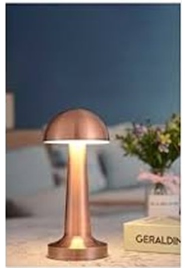 Cata Ct-8430 Masa Lambası Ledli Dokunmatik