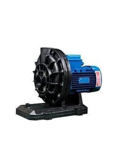 Best Model 0.75 Hp Ön Filtresiz Pompa Monofaze