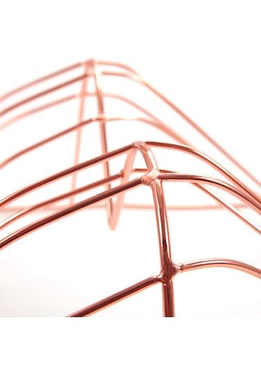 Suntek Sutyen Asılı Raf Mankenler İç Giyim Gül-altın Gül Altın Diğer