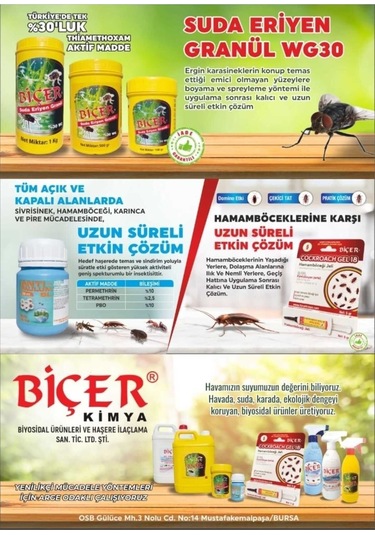 Biçer Antipaulum Sl 500 Ml X 2 Adet