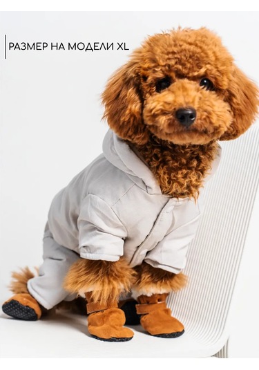 Petite Pets Küçük Ve Orta Boy Köpekler İçin Ayakkabı 270588346