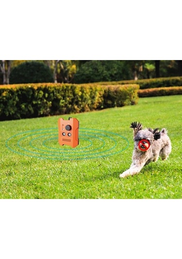 Lichen Ultrasonik Havlama Önleyici Havlama Önleyici Köpek