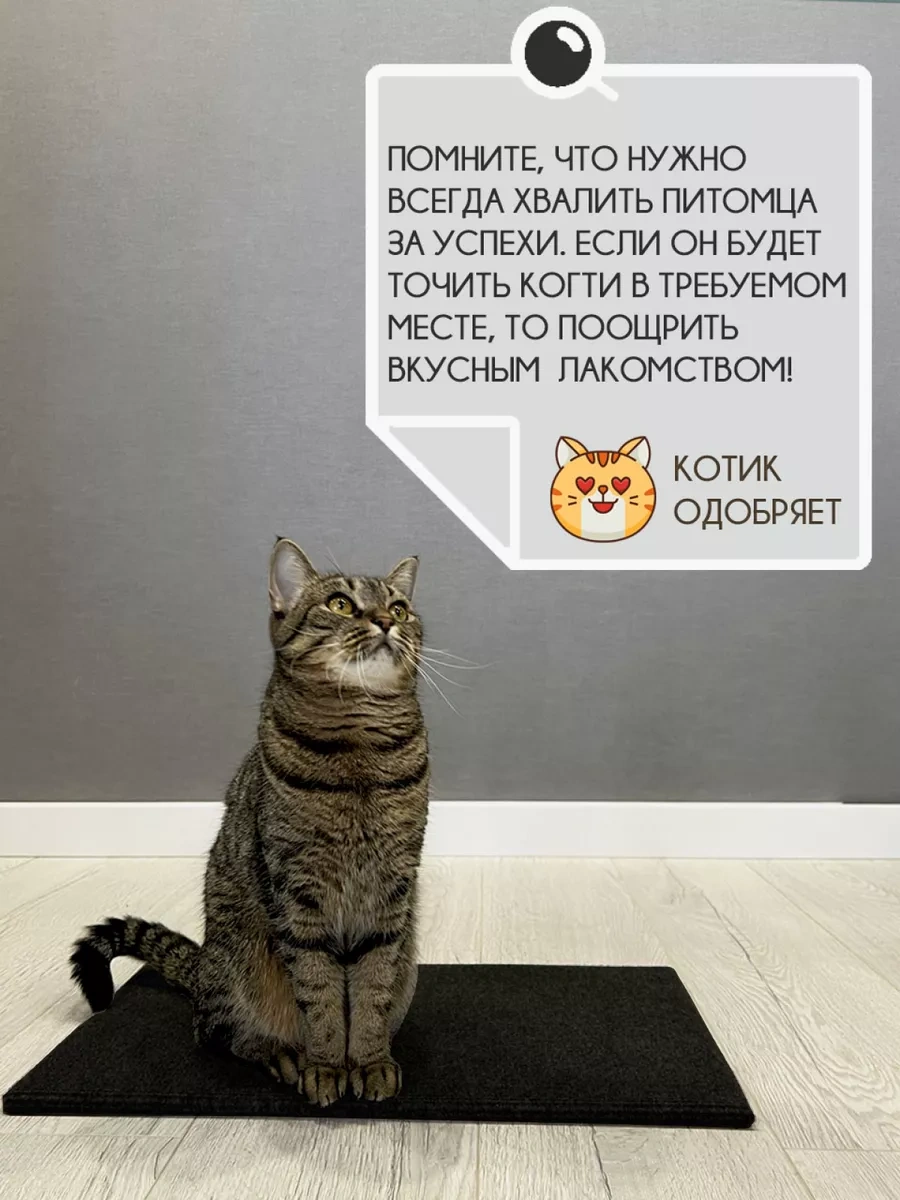 Mighty Cats Yer Tipi Kedi Tırmalama Tahtası 208347651