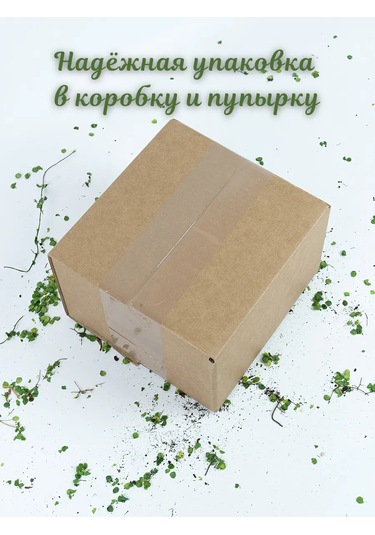 Suhanov S Home Çiçekler Ve Bitkiler İçin 1 Litreli Sulama Kabı 441088055