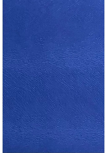 Enesar Home Tay Tüyü Premium Döşemelik Kumaş Taytüyü Lacivert 100 x 140 cm