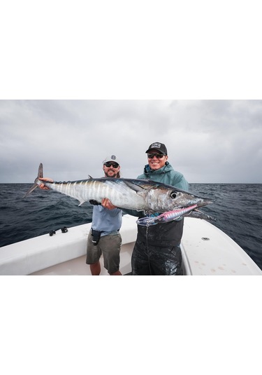 Dtx Minnow 220mm Bating 9 'wahoo Ve Ton Balığı Trolling Cazibesi