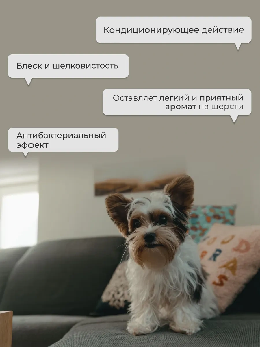 Dogıgo Yorkshire Terrier İçin Köpek Şampuanı 366476449