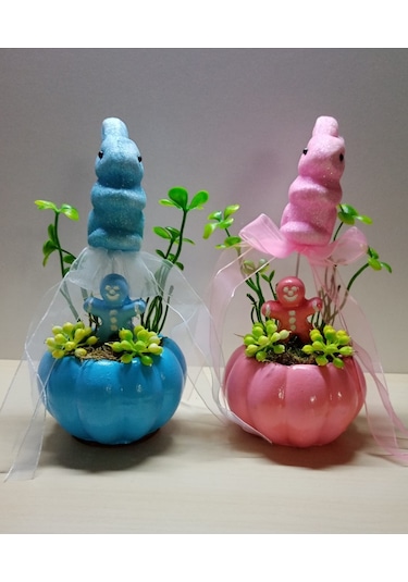 Neolife Yeni Doğan İkiz Bebek Hediyesi Doğum Tebrik Hediyesi Sevimli Tavşancık Detaylı 2 li Kabak Teraryum