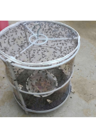 Monyee Tekrarlı Kullanımlı Ağ Yapılı Boğa Sinek Tutucu - Dayanıklı, Güvenli, 3 Adet + 3 Halka, 25x30cm Beyaz