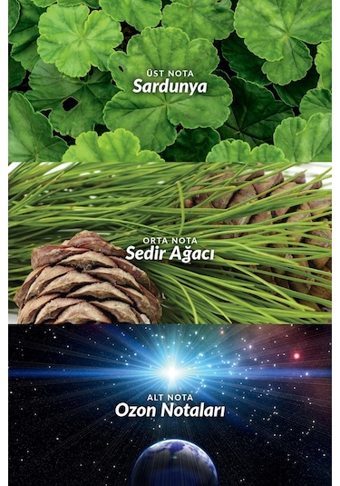 Avon Full Speed Quantum Erkek Pafrüm EDT 75 ML