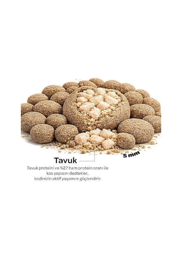 Obivan Tavuklu Yetişkin Kedi Maması 2 Kg