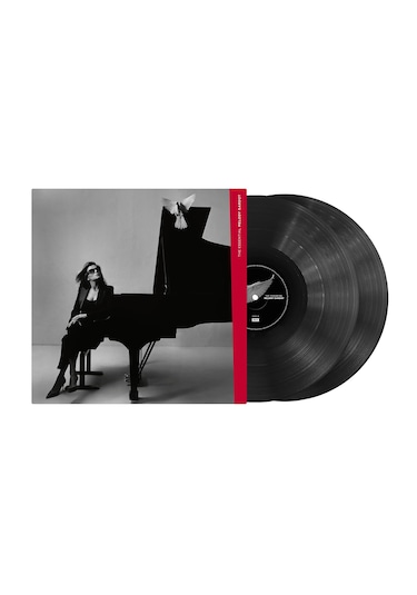 Melody Gardot - The Essential / 2 X Plak