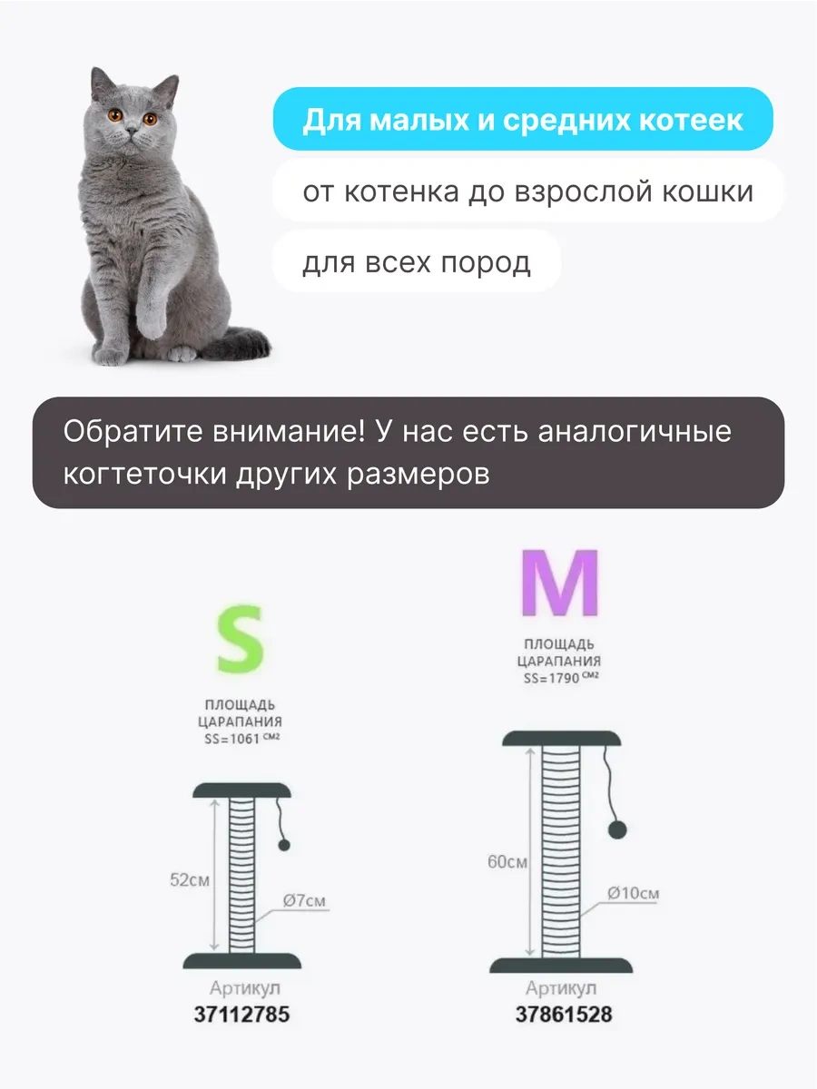 Rıch Breed Kedi Tırmalama Direği Masası Zeminli Dinlenme Yatağı 37112785