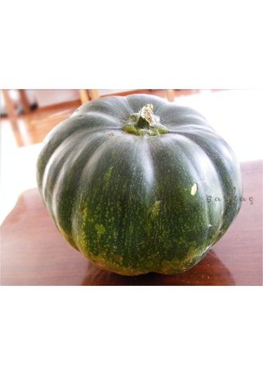 Nadir İthal İri Yeşil Bal Kabağı Tohumu 3 Adet Tohum Kabak Tohumu