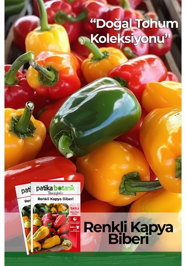 75 Adet Yerli Ata Renkli Kapya Biber Tohumu