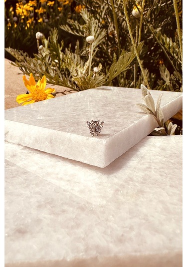 Kelebek Model Şık Tasarım Zirkon Taşlı Gümüş Renk Çelik Piercing Tragus Helix Stainless Steel