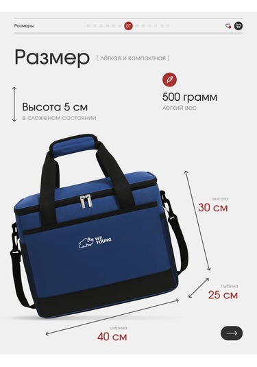 Weyoung 30 Litre Termo Çanta Buzdolabı Çantası 312174109 Mavi