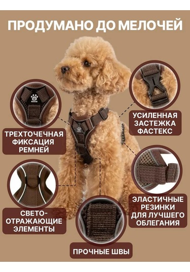 Tori Küçük Ve Orta Irklar İçin Tasmalı Köpek Kayışı Ve Kedi Şeridi 417829533