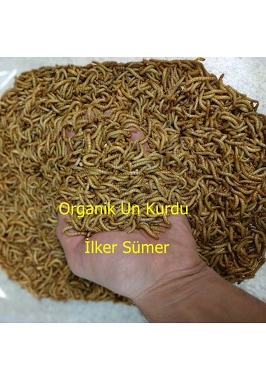 Un Kurdu 100 Gram