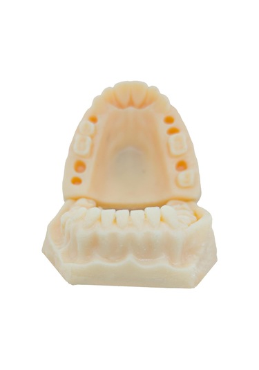 Barışhan Medikal Silikon Çene Diş Dikiş Modeli Ortodontik Alt Üst Çene Periodontal Sütür Eğitim Modeli-1