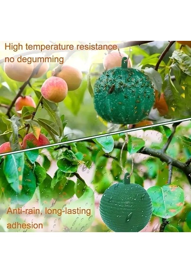 Açık Meyve Sineği Sivrisinek Narenciye Tuzağı Yapışkan Top Yeşil