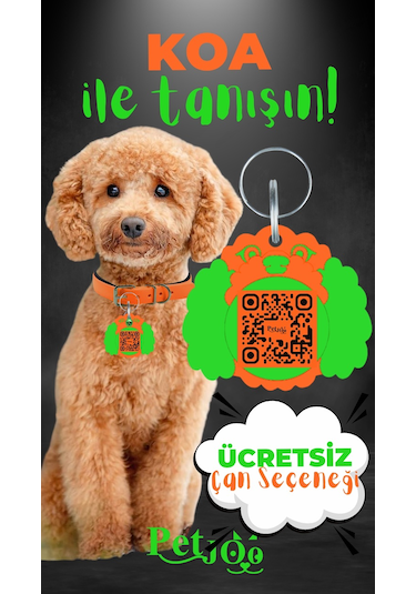 Petjoo 14.Koa Yeşil-Turuncu Qr'lı Köpek Künyesi